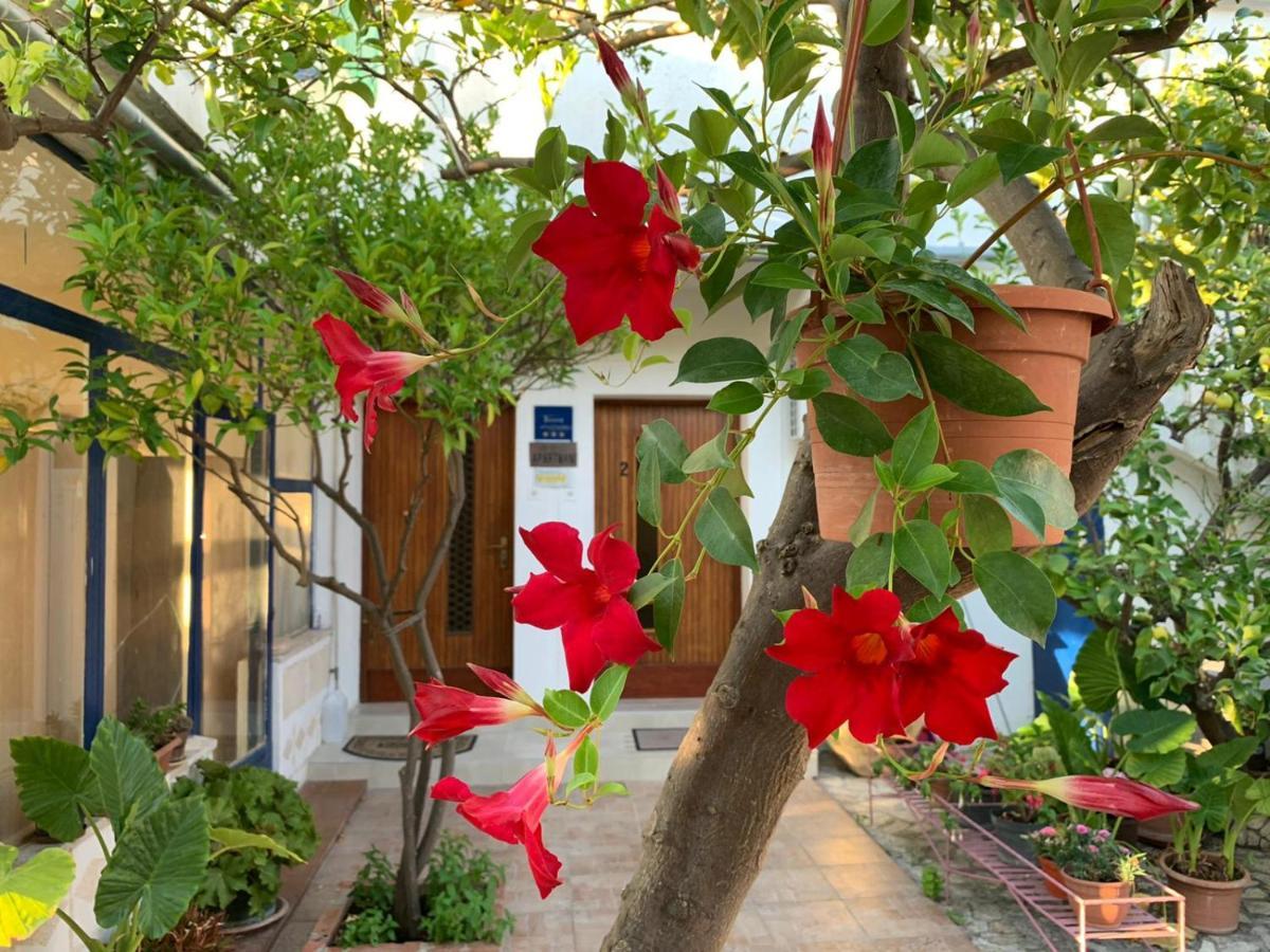 Danijela Apartamento Mali Lošinj Exterior foto